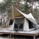 회동솔향캠핑장 이미지