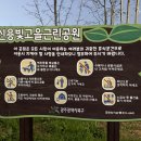 신용빛고을근린공원 | 가을 낙엽 감상하기 좋은곳 광주 북구 신용빛고을근린공원