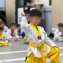 장광재 박사 태권도 이미지