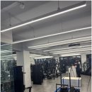 그로우피티 이미지