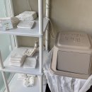 댕댕회관 이미지