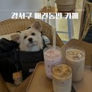 강서구 까치산역 화곡역 애견동반 카페 추천 올라솔 케이크주문 후기