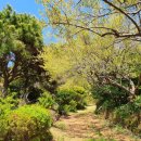 다대농장 이미지