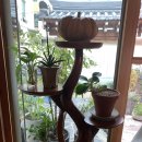 마시뜰(계산점) 이미지