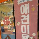 부천애견미용 멍미살롱 | 부천애견호텔 안심하고 맡길 수 있는 멍미