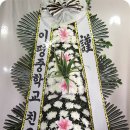 부림한방병원 이미지