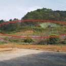 푸른언덕민박 이미지