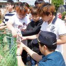 연천노곡초등학교 이미지