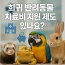 [2023-12월 디지털배움터 1반] 스마트폰 완전정복 2 | 희귀 반려동물 의료비 지원 완벽 가이드