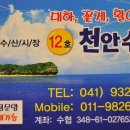 한내회타운
