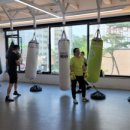 복싱 그 자체 이미지