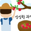 청송바른사과