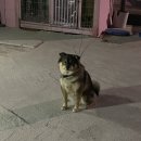 울진솔펜션 이미지