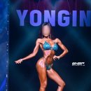 김태겸 카카오 검색결과
