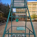 숲속초등학교 이미지