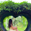 헤어클럽 앞 교통섬 | 발리 스미냑 거리 조식 맛집 숙소 인디고 발리 호텔 예약 쇼핑 여행 꿀팁