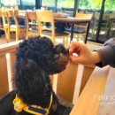 강산숯불닭갈비막국수 | ## 가평 맛집 금강산 숯불닭갈비 막국수 감동 후기!