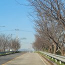 하방천변길 이미지