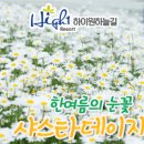 6월 16일(목) 한여름의눈꽃/하이원 샤스타데이지꽃축제-하늘마중 숲길트래킹. ♡35,000원.조중식(찰밥). 37석 리무진운행 이미지