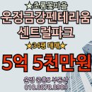 삼성마을센트럴파크 공인중개사사무소 | 운정신도시 GTX-A 운정중앙역 개통☆역세권 아파트☆운정금강펜테리움센트럴파크☆34평 매매 추천!!☆