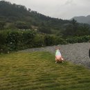 청평옆집언니 이미지