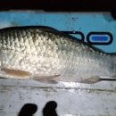 수신낚시터 이미지