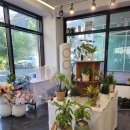 어반가든스튜디오 이미지