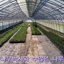 사비농장 이미지