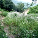 오갑농장 이미지