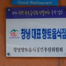 조은집애 한우 이미지