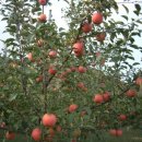 수복농장 이미지