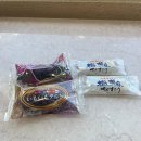 0406-0004 | 오키나와 북부 버스투어 솔직후기(츄라우미수족관, 코우리, 만좌모, 아메리칸빌리지,1일 코스,비용...