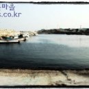 어촌마을과메기