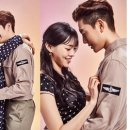 데일리도그 이미지