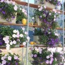 광주농협 로컬푸드직매장 동광주점 이미지