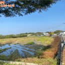 강화읍-3 이미지