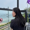 메종드블랑제 | 강원도 토박이의 강원도 카페 추천 ☕️동해 편☕️