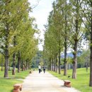 순천만정원하우스 이미지