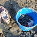 팔팔민박 이미지