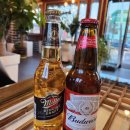 다육이 아트(A) 이미지