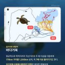 헤어신숙희 | 𝙡𝙞𝙫𝙚 𝙡𝙞𝙫𝙚 𝙨𝙩𝙖𝙧 𝙥𝙚𝙧𝙨𝙤𝙣 𝙖𝙡𝙡 𝙨𝙚𝙚 살다 살다 별 사람을 다 보네에서 별을 맡고 있습니다••