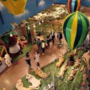 테지움사파리 이미지