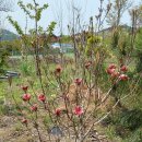 장부농장 이미지