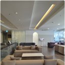 닥터스미성형외과의원 | 대전둔산동성형외과 내돈내산 쌍꺼풀 재수술 눈매교정 솔직 후기