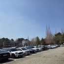 충혼탑 | 창원 충혼탑 목련 포토존 봄꽃 구경 다녀온 후기