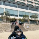 동백섬입구(웨스틴조선비치) 이미지