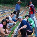 학성농장 이미지