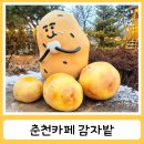 재미난밭 | 춘천카페로 추천하는 감자밭 감자빵 서리태크림라떼 솔직후기