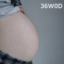[임신일기9] 35주 5일 라온산부인과 막달검사 / 막달검사비용 / 신생아 상비약 리스트