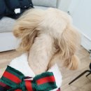 토리옷수선